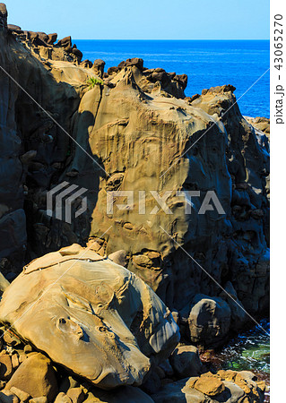 鵜戸神宮　鵜戸千畳敷奇岩　【宮崎県日南市】 43065270