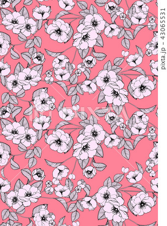 模様 柄 パターン 43065531