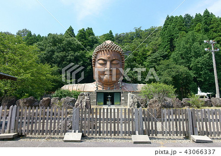 ハニベ巌窟院 43066337