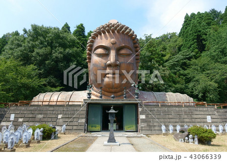 ハニベ巌窟院 43066339