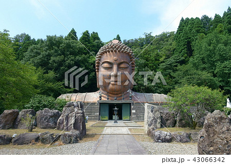 ハニベ巌窟院 43066342