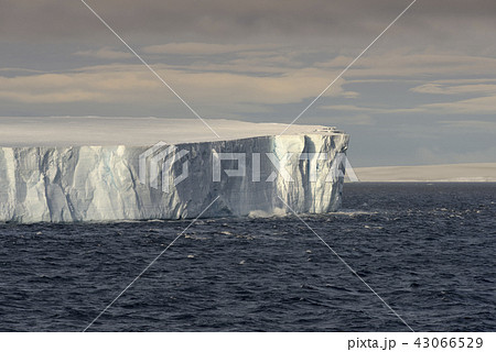 Huge Tabular Iceberg Floating In Bransfield Strait 43066529