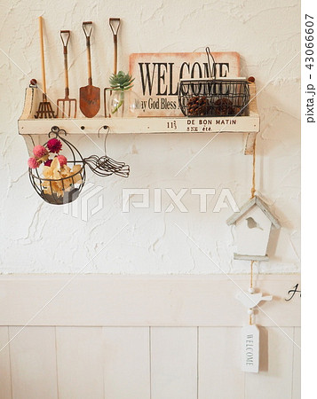 漆喰の壁にナチュラルインテリア雑貨 43066607