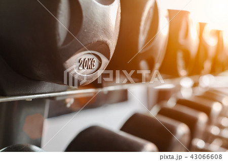 row of black dumbbells 43066608