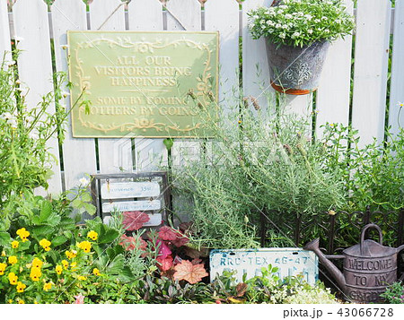 ナチュラルアンティーク風の花壇 43066728