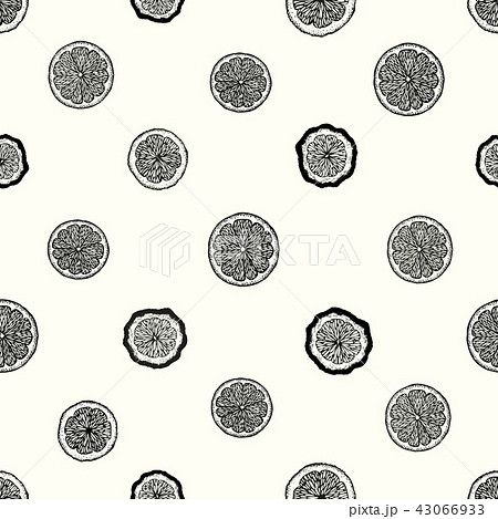 Citrus fruits seamless pattern. Hand drawn vector fruit illustration. Engraved style. Vintage citrus 43066933