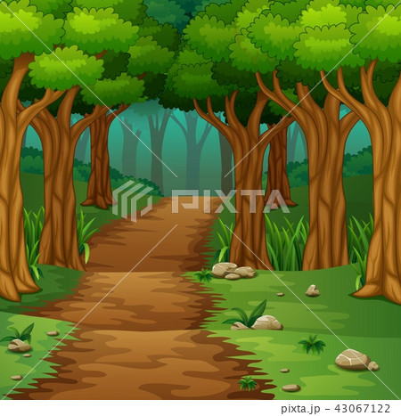 Forest scene with dirt road 43067122