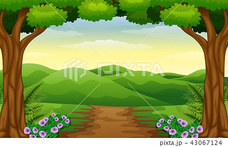 Hills view with dirt path in the forest 43067124