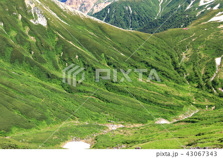 北アルプス雲ノ平　祖父岳山頂からの山々　黒部源流　三俣山荘 43067343