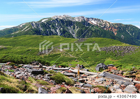 北アルプス雲ノ平　日本最後の秘境を歩く　木道越しの薬師岳遠景 43067490