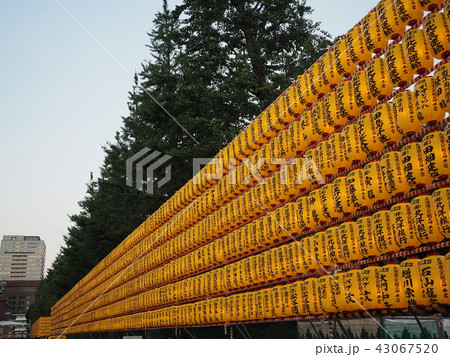 みたままつり 43067520