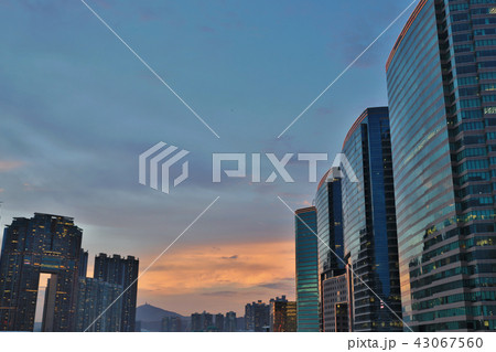 the Kowloon at night at the tst 43067560