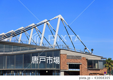 唐戸市場　山口県下関市にある市場 43068305