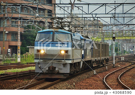 東海道本線を走る貨物列車(EF66形電気機関車) 東海道本線を走る貨物列車(EF66形電気機関車) 43068590