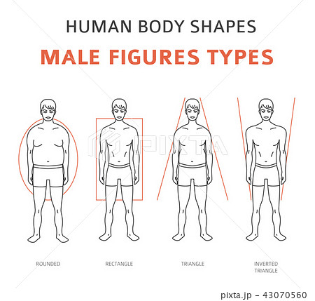 Male Body Shapes Set - Inverted Triangle, Oval, Rectangle, Rhomboid Figure  Types. Human Anatomy Body Shapes Cartoon Stock Vector - Illustration of  health, line: 195861289