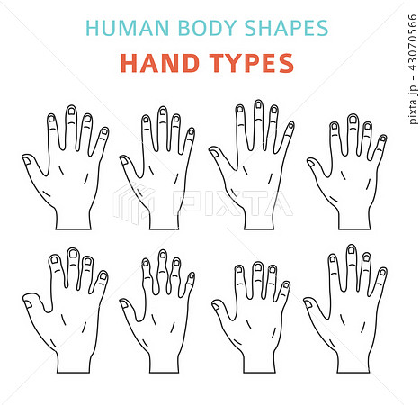 Human body shapes. Hand types icon set - Stock Illustration [43070566] -  PIXTA