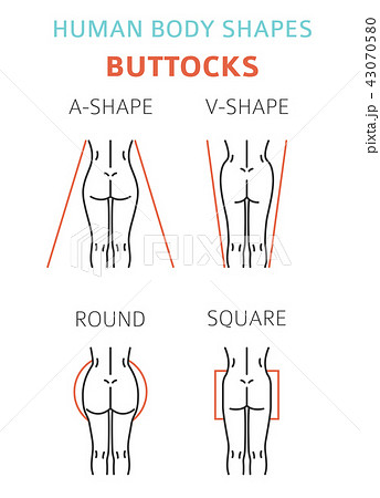 Buttocks Types Stock Illustrations – 18 Buttocks Types Stock