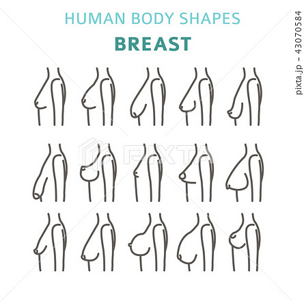 Human body shapes. woman breast form set - Stock Illustration
