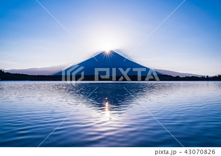 （静岡県）田貫湖のダイヤモンド富士 43070826