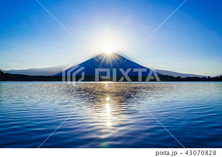 (静岡県)田貫湖のダイヤモンド富士 (静岡県)田貫湖のダイヤモンド富士 43070828