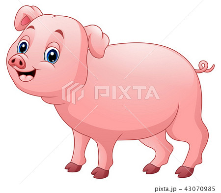 Vector illustration of Cute pig cartoon  43070985
