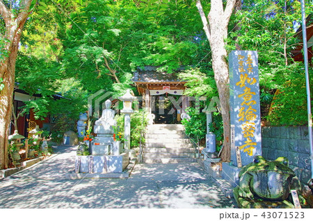 かえる寺　福岡県小郡市_如意輪寺（にょいりんじ） 43071523