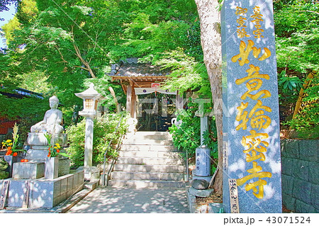 かえる寺　福岡県小郡市_如意輪寺（にょいりんじ） 43071524