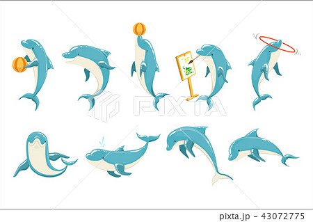 Bottlenose Dolphin Performing Tricks Set Of のイラスト素材