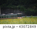 ひまわり　姫新線 43072849