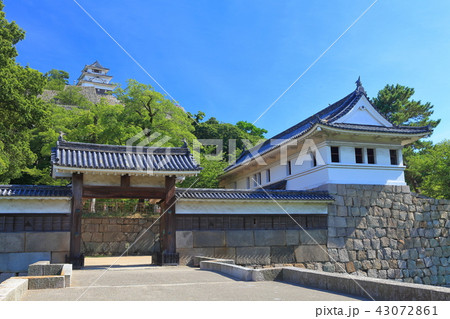 丸亀城の大手門と天守閣 43072861
