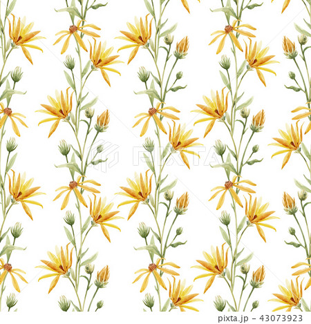 Watercolor floral vector pattern Watercolor floral vector pattern 43073923