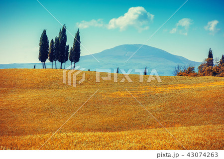 Beautiful nature of Italy. Tuscany landscape 43074263