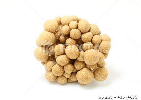 野菜、しめじ、きのこ 43074635