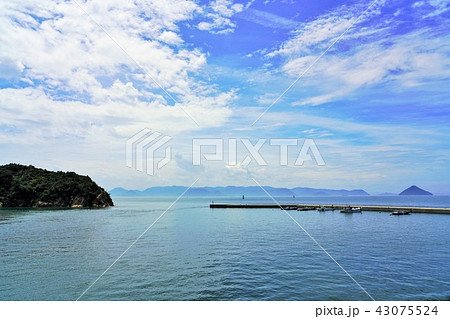 直島・宮浦港 43075524