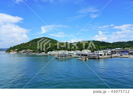 直島・宮浦港 直島・宮浦港 43075712