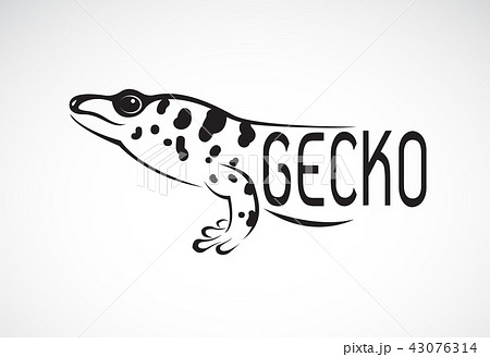 Vector of a Madagascar giant day gecko. Vector of a Madagascar giant day gecko. 43076314