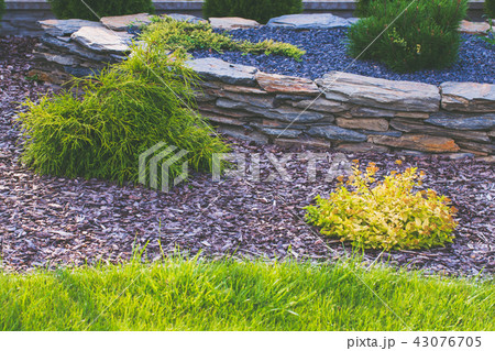Garden lawn and bark in flowerbed. 43076705