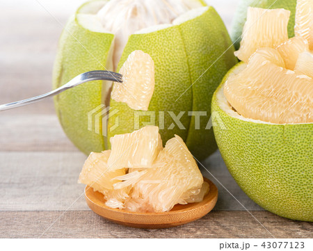 ユズ 柚 文旦 43077123