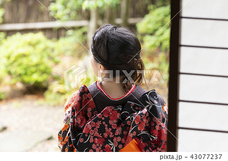 和服 女性 後姿 和服 女性 後姿 43077237