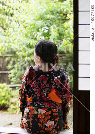 和服　女性　後姿 43077239