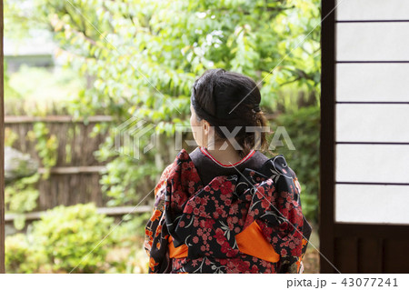 和服 女性 後姿 和服 女性 後姿 43077241