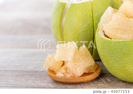 ユズ 柚 文旦 43077253