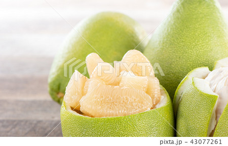 ユズ 柚 文旦 43077261