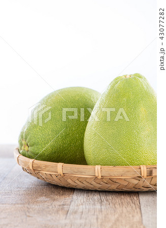 ユズ 柚 文旦 43077282