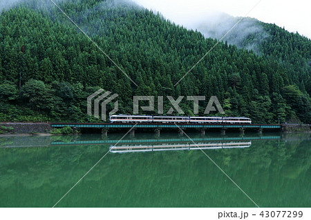 夕暮れの飛騨川沿いを駆け抜ける特急ワイドビューひだ 夕暮れの飛騨川沿いを駆け抜ける特急ワイドビューひだ 43077299