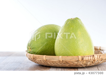 ユズ 柚 文旦 43077300