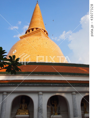 タイの仏塔(プラパトムチェーディー) タイの仏塔(プラパトムチェーディー) 43077328