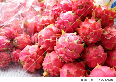 dragon fruit at street road dragon fruit at street road 43078486