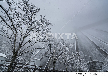 浦山ダムの雪景色 43078878