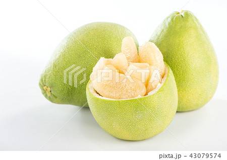 ユズ 柚 文旦 43079574